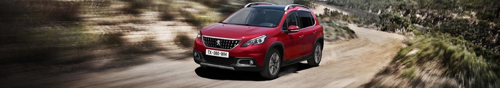 Peugeot 2008 2019-2023 Owner's Manual